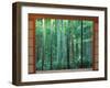 Okochi Sanso, Kyoto, Japan-Rob Tilley-Framed Photographic Print