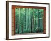 Okochi Sanso, Kyoto, Japan-Rob Tilley-Framed Photographic Print