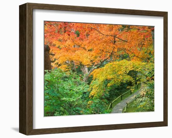 Okochi Sanso, Kyoto, Japan-Rob Tilley-Framed Premium Photographic Print