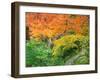 Okochi Sanso, Kyoto, Japan-Rob Tilley-Framed Photographic Print