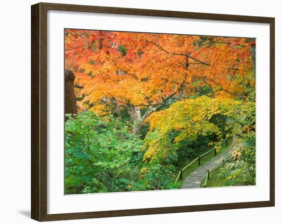 Okochi Sanso, Kyoto, Japan-Rob Tilley-Framed Photographic Print