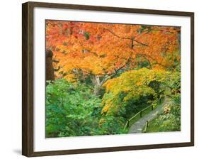 Okochi Sanso, Kyoto, Japan-Rob Tilley-Framed Photographic Print