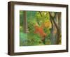 Okochi Sanso, Kyoto, Japan-Rob Tilley-Framed Photographic Print