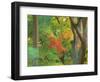 Okochi Sanso, Kyoto, Japan-Rob Tilley-Framed Photographic Print