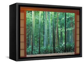 Okochi Sanso, Kyoto, Japan-Rob Tilley-Framed Stretched Canvas