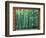 Okochi Sanso, Kyoto, Japan-Rob Tilley-Framed Photographic Print