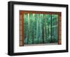 Okochi Sanso, Kyoto, Japan-Rob Tilley-Framed Photographic Print