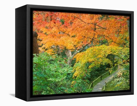 Okochi Sanso, Kyoto, Japan-Rob Tilley-Framed Stretched Canvas