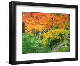 Okochi Sanso, Kyoto, Japan-Rob Tilley-Framed Photographic Print