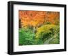 Okochi Sanso, Kyoto, Japan-Rob Tilley-Framed Photographic Print