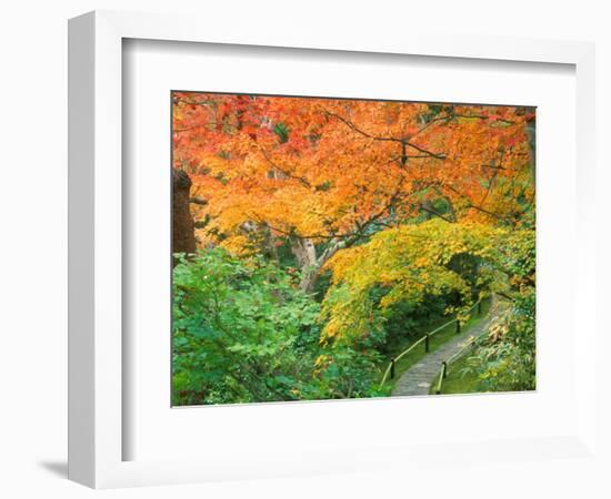 Okochi Sanso, Kyoto, Japan-Rob Tilley-Framed Photographic Print