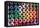 Framed Canvas