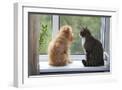 Chelsea White