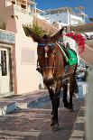 Zakynthos, Greece, Sea Port-Okssi-Photographic Print