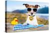 Oktoberfest Dog-Javier Brosch-Stretched Canvas