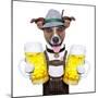 Oktoberfest Dog-Javier Brosch-Mounted Photographic Print