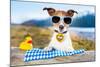 Oktoberfest Dog-Javier Brosch-Mounted Photographic Print