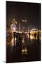 Oktoberfest 'Wiesn' by night, lights in the rain-Christine Meder stage-art.de-Mounted Photographic Print