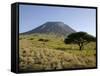 Ol Doinyo Lengai, Rift Valley, Tanzania-null-Framed Stretched Canvas