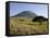 Ol Doinyo Lengai, Rift Valley, Tanzania-null-Framed Stretched Canvas