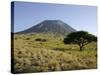 Ol Doinyo Lengai, Rift Valley, Tanzania-null-Stretched Canvas