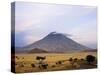 Ol Doinyo Lengai, the Maasai's Mountain of God, in Early Morning Sunlight, Tanzania-Nigel Pavitt-Stretched Canvas