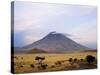 Ol Doinyo Lengai, the Maasai's Mountain of God, in Early Morning Sunlight, Tanzania-Nigel Pavitt-Stretched Canvas