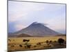 Ol Doinyo Lengai, the Maasai's Mountain of God, in Early Morning Sunlight, Tanzania-Nigel Pavitt-Mounted Photographic Print