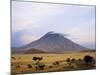 Ol Doinyo Lengai, the Maasai's Mountain of God, in Early Morning Sunlight, Tanzania-Nigel Pavitt-Mounted Photographic Print