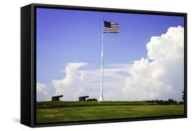 Ol' Glory I-Alan Hausenflock-Framed Stretched Canvas