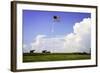 Ol' Glory I-Alan Hausenflock-Framed Photographic Print