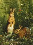 Hares-Olaf August Hermansen-Framed Giclee Print