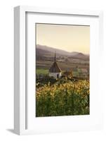 Olbergkapelle Chapel-Markus-Framed Photographic Print