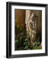 Old Abandoned Buddhist Temples in the Inle Lake Region, Shan State, Myanmar-Julio Etchart-Framed Photographic Print