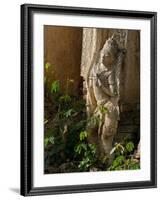 Old Abandoned Buddhist Temples in the Inle Lake Region, Shan State, Myanmar-Julio Etchart-Framed Photographic Print