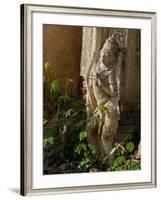 Old Abandoned Buddhist Temples in the Inle Lake Region, Shan State, Myanmar-Julio Etchart-Framed Photographic Print