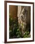 Old Abandoned Buddhist Temples in the Inle Lake Region, Shan State, Myanmar-Julio Etchart-Framed Photographic Print