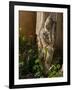 Old Abandoned Buddhist Temples in the Inle Lake Region, Shan State, Myanmar-Julio Etchart-Framed Photographic Print