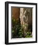 Old Abandoned Buddhist Temples in the Inle Lake Region, Shan State, Myanmar-Julio Etchart-Framed Photographic Print