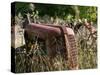 Old Abandoned Farm Tractor, Defiance, Missouri, USA-Walter Bibikow-Stretched Canvas