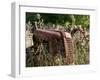 Old Abandoned Farm Tractor, Defiance, Missouri, USA-Walter Bibikow-Framed Premium Photographic Print