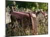 Old Abandoned Farm Tractor, Defiance, Missouri, USA-Walter Bibikow-Mounted Premium Photographic Print