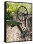 Old Abandoned Farm Tractor, Defiance, Missouri, USA-Walter Bibikow-Framed Stretched Canvas