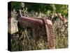 Old Abandoned Farm Tractor, Defiance, Missouri, USA-Walter Bibikow-Stretched Canvas