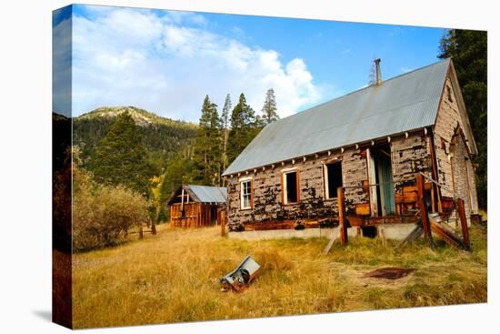 Old Abandoned House-bendicks-Stretched Canvas