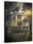 Old Abandoned  Scary Haunted House-Netfalls-Stretched Canvas