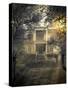 Old Abandoned  Scary Haunted House-Netfalls-Stretched Canvas