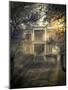 Old Abandoned  Scary Haunted House-Netfalls-Mounted Photographic Print