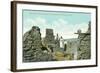 Old Adobe Ruins, Warner Hot Springs-null-Framed Art Print