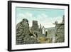 Old Adobe Ruins, Warner Hot Springs-null-Framed Art Print